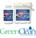 buy BioSafe Systems GreenClean Organic Algae Control for Water Garden, Stream, & Pond Use